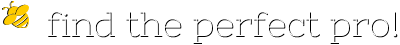 Buzz Flue Pipe Repair Service